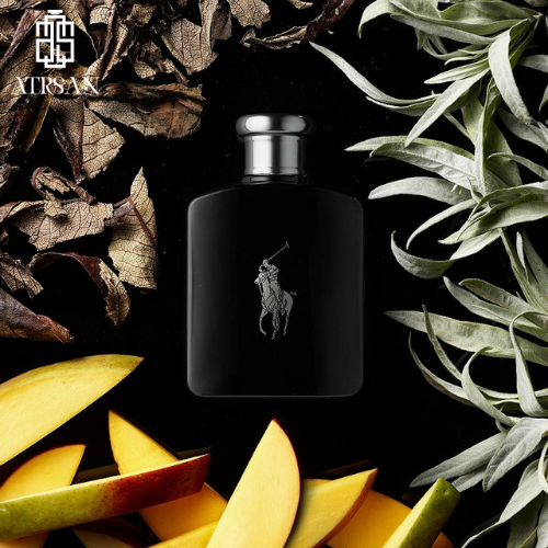 عطر مردانه‌ی پولو مشکی رالف لورن
