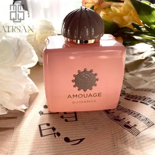 عطر ادکلن آمواج گایدنس | Amouage Guidance