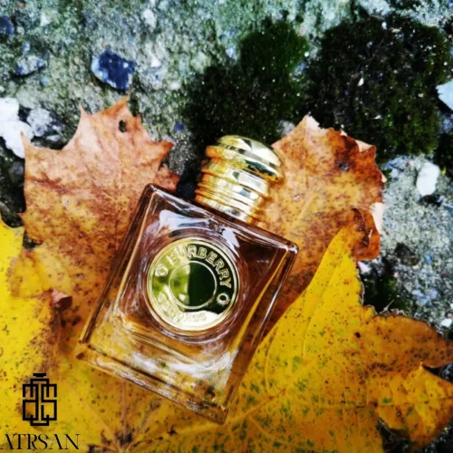 به رخ کشیدن قدرت زنانگی با عطر باربری گادس