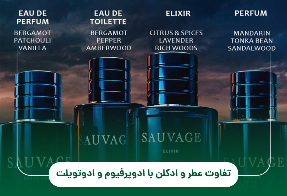 تفاوت عطر و ادکلن با ادوپرفیوم و ادوتویلت 